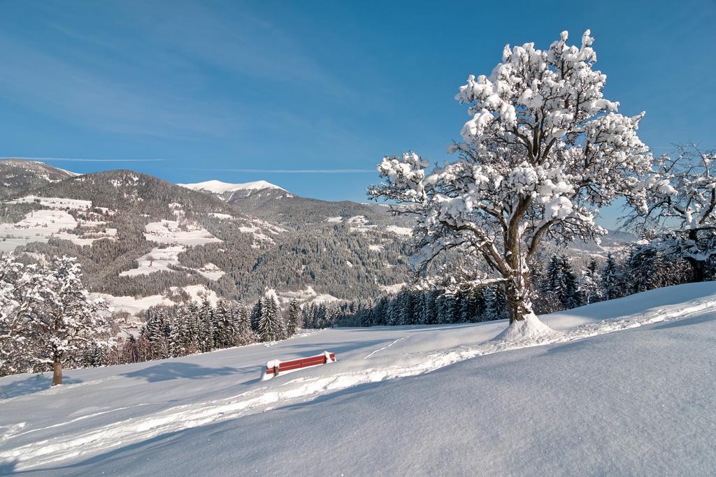 Naturoase Appartements Mirnock Afritz Esterno foto