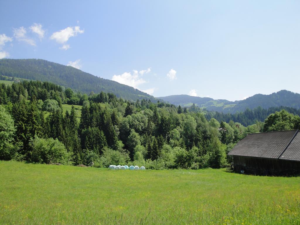 Naturoase Appartements Mirnock Afritz Esterno foto
