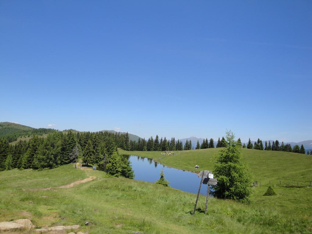 Naturoase Appartements Mirnock Afritz Esterno foto